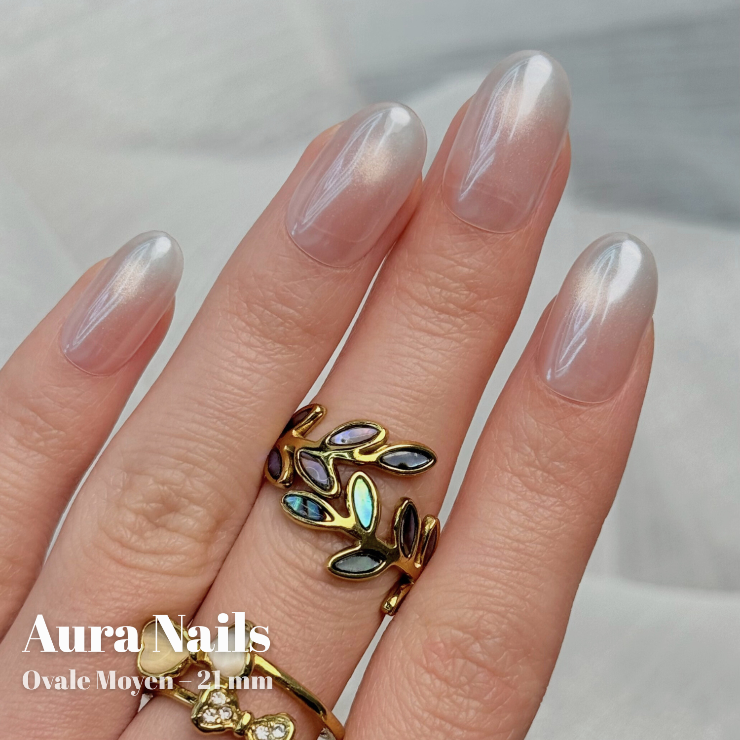 Rose coquille N°275