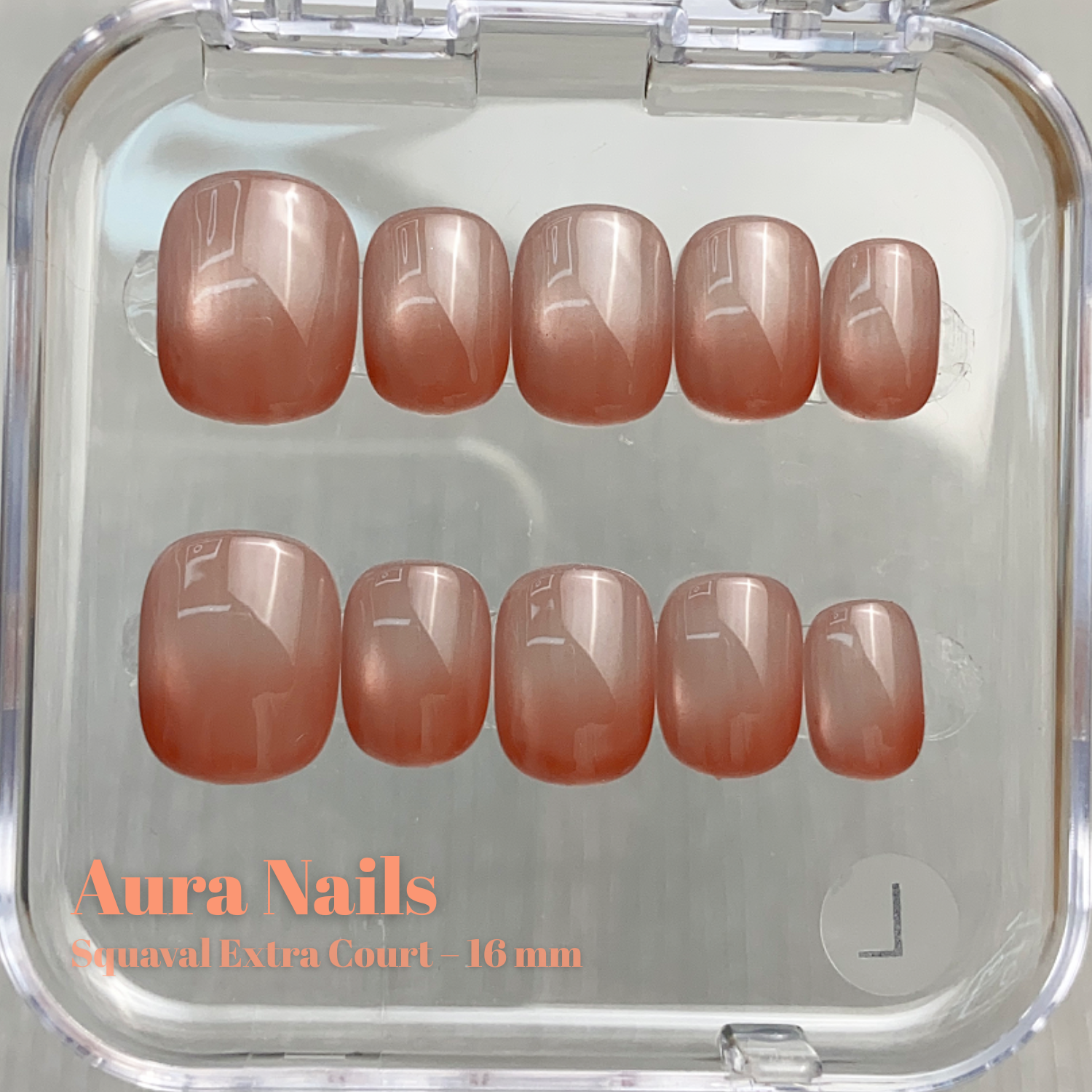 Nude Brown Gradient