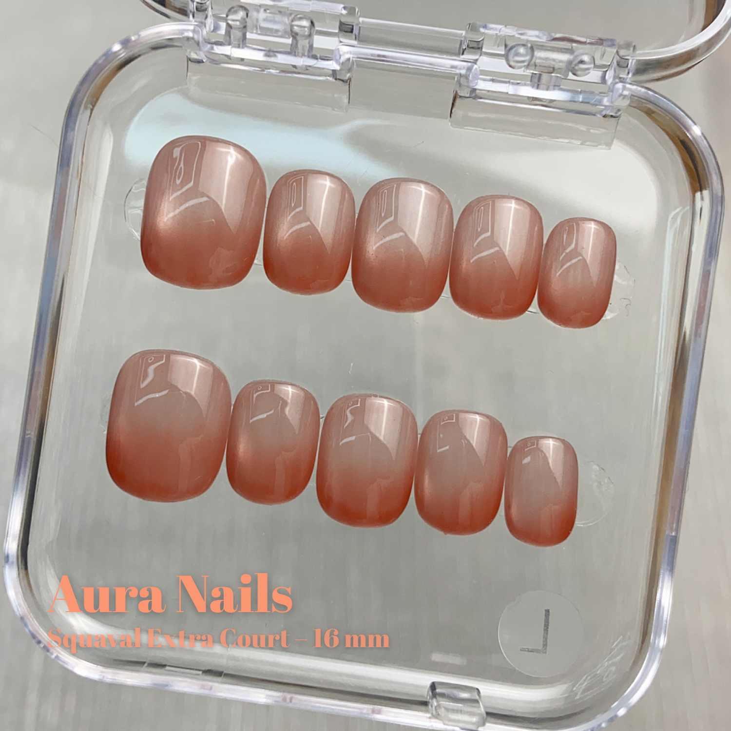 Nude Brown Gradient